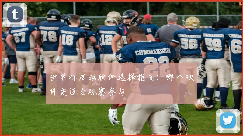 世界杯活动软件选择指南:哪个软件更适合观赛参与