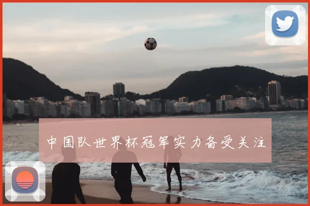 中国队世界杯冠军实力备受关注