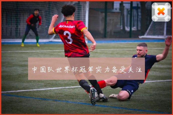 中国队世界杯冠军实力备受关注