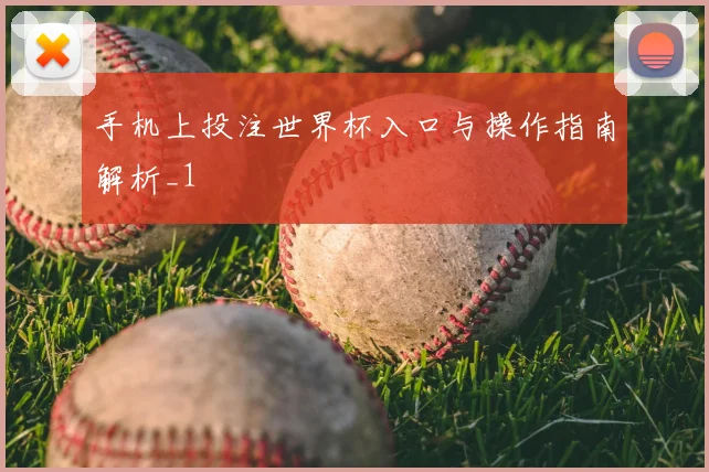 手机上投注世界杯入口与操作指南解析_1