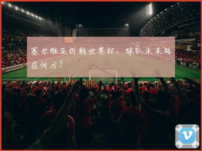 塞尔维亚折戟世界杯，球队未来路在何方？