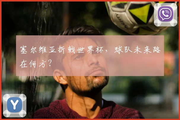 塞尔维亚折戟世界杯，球队未来路在何方？