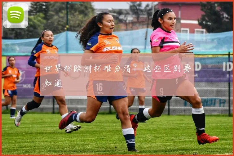 世界杯欧洲杯难分清?这些区别要知道