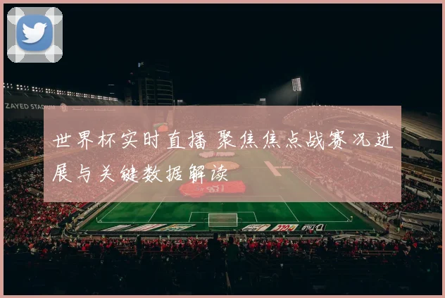 世界杯实时直播 聚焦焦点战赛况进展与关键数据解读