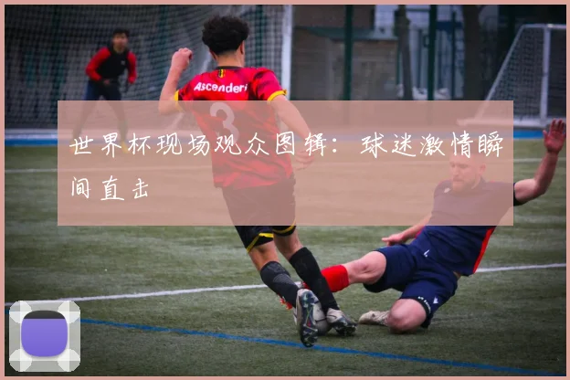 世界杯现场观众图辑：球迷激情瞬间直击